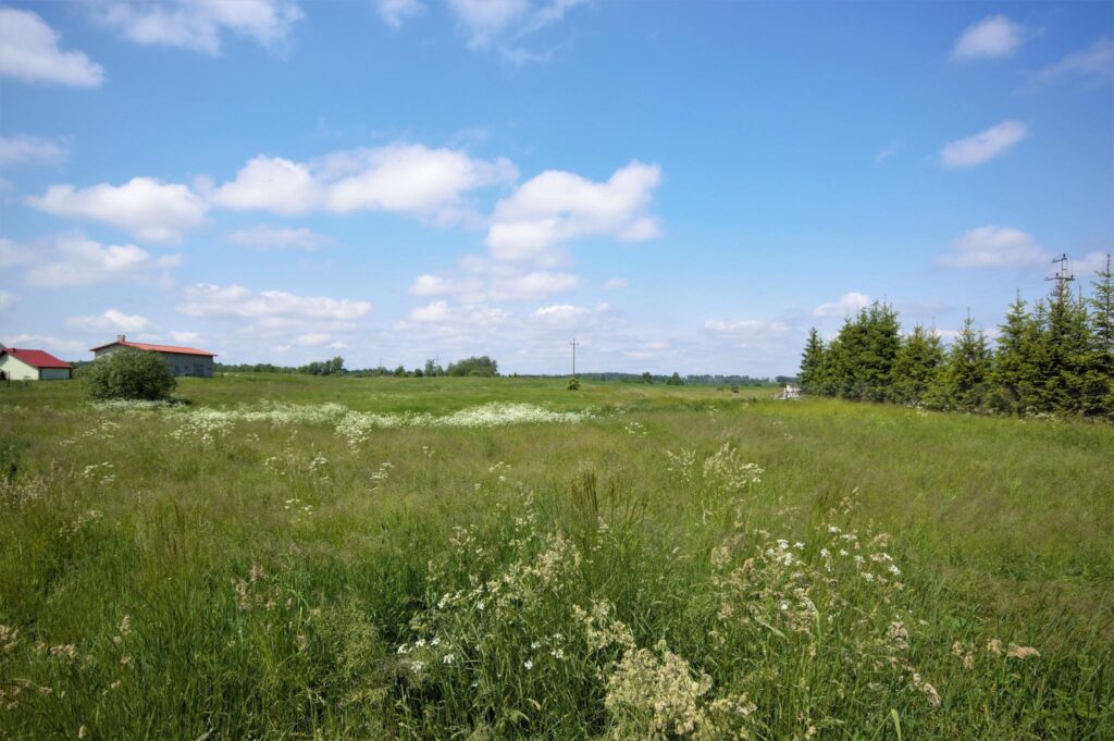 Na sprzedaż działka w Krzywym, gmina Prostki. - zdjęcie 7