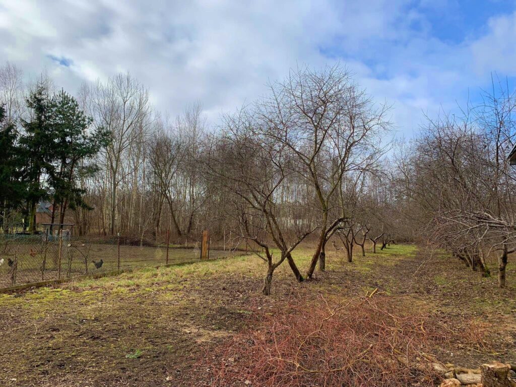 Działka przemysłowo-inwestycyjna Żabia Wola - zdjęcie 3