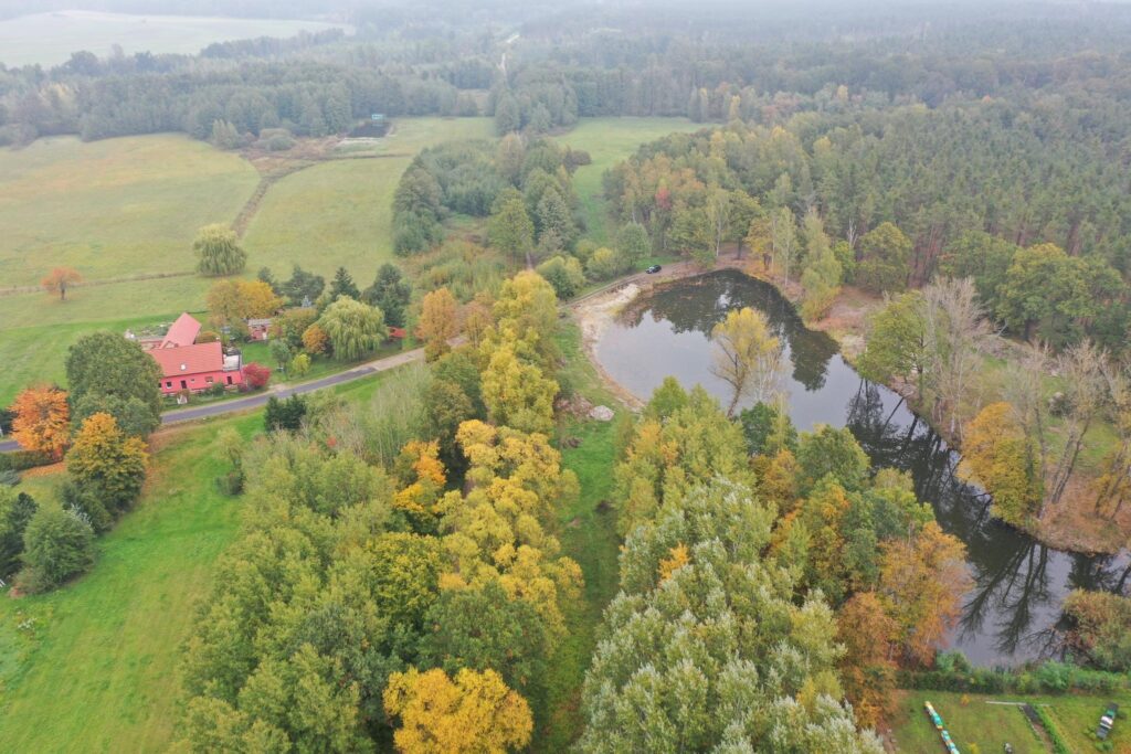 Działka budowlana przy lesie - zdjęcie 1