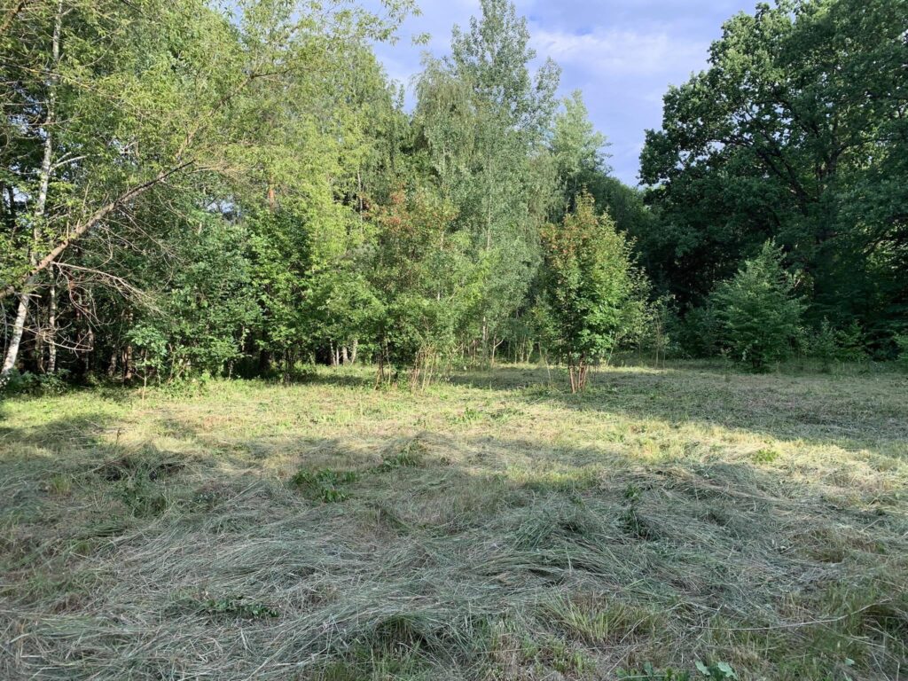 Atrakcyjnie położona duża działka - zdjęcie 2