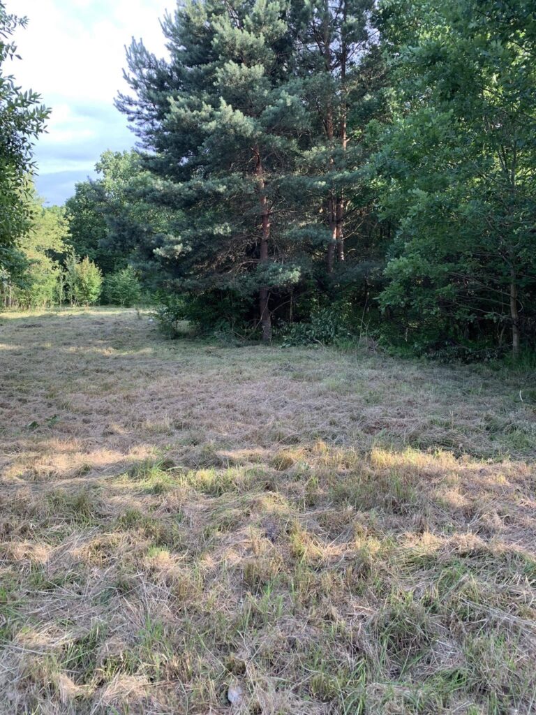 Atrakcyjnie położona duża działka - zdjęcie 5