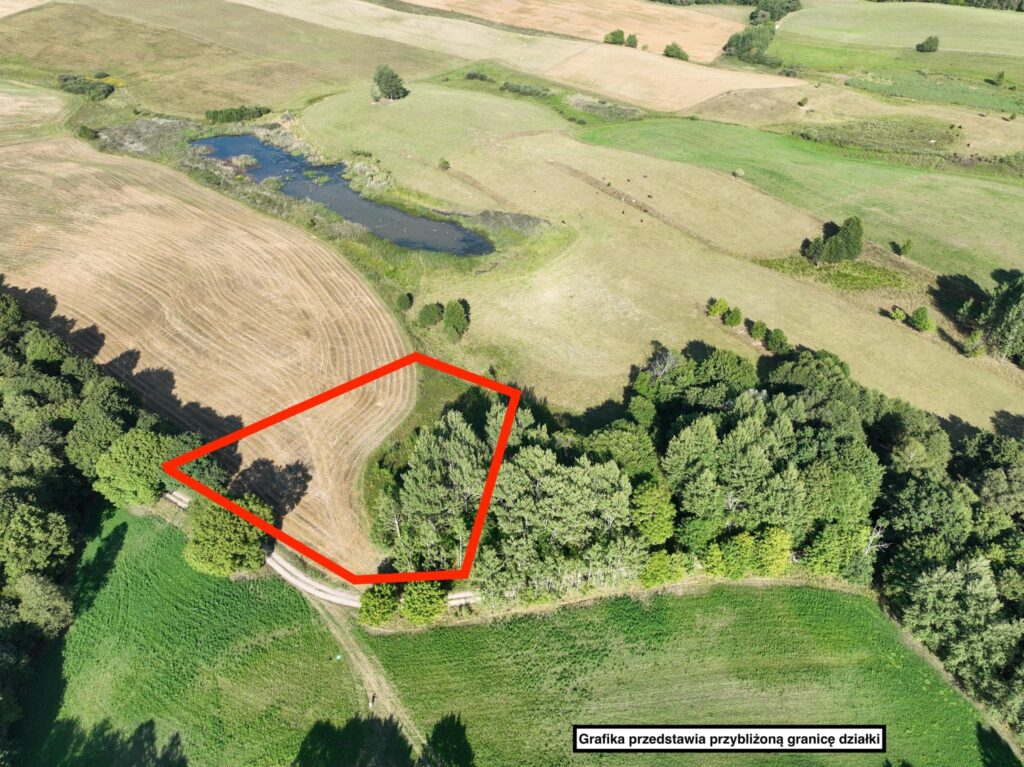 Działka rekreacyjna na Mazurach - Bitkowo - zdjęcie 1