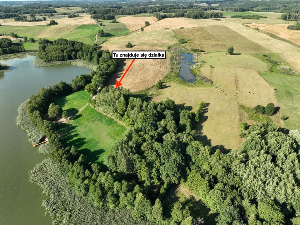 Działka rekreacyjna na Mazurach - Bitkowo - zdjęcie 5