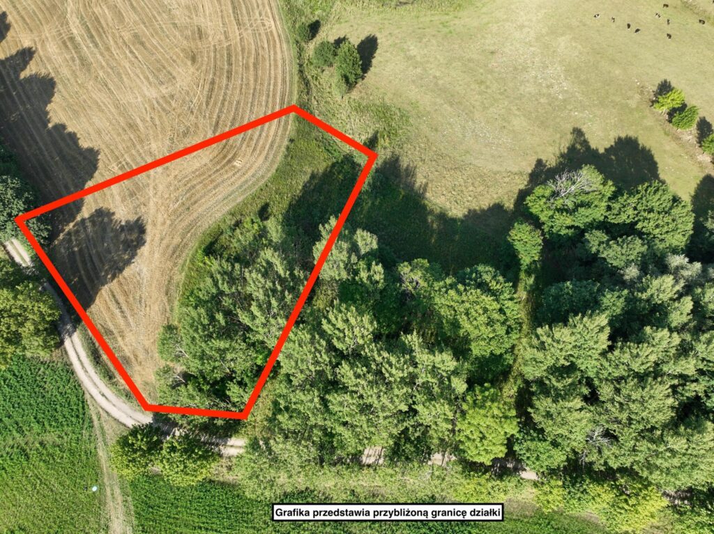 Działka rekreacyjna na Mazurach - Bitkowo - zdjęcie 3