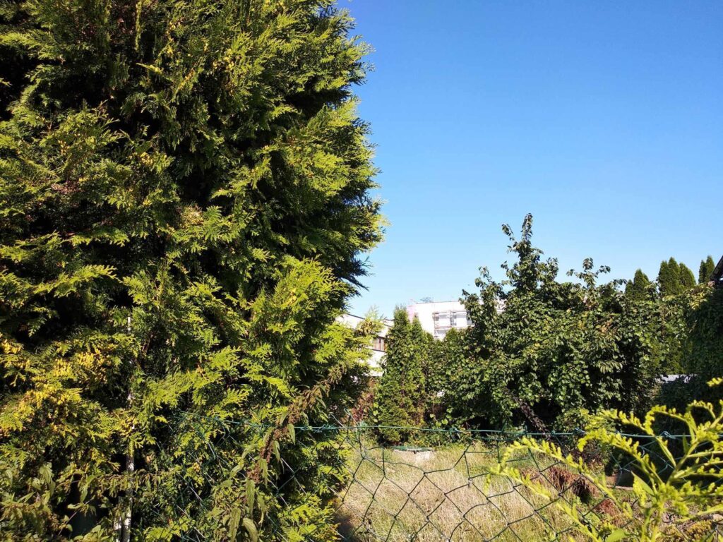 Dwupokojowy penthouse z balkonem - zdjęcie 13