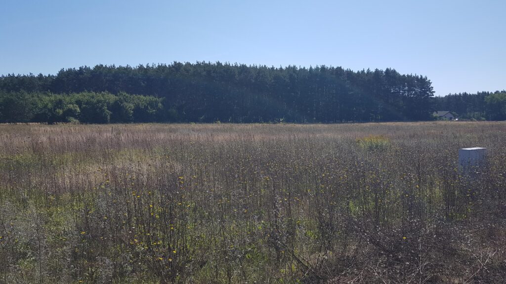 Działka budowlana - zdjęcie 1