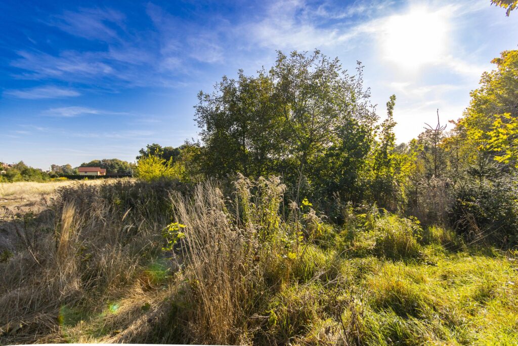 Dwie działki budowlane na przyjaznym osiedlu - zdjęcie 4