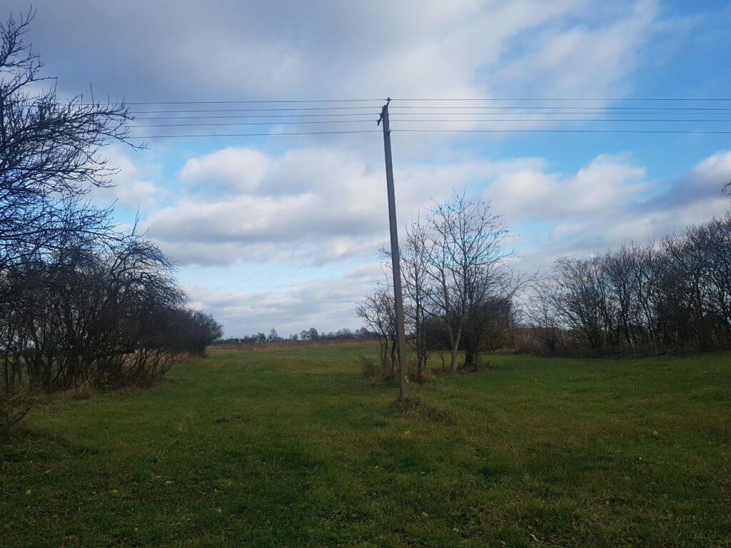 Działka we wsi Zawady gm. Rzeczyca- 0,3010 HA. - zdjęcie 3
