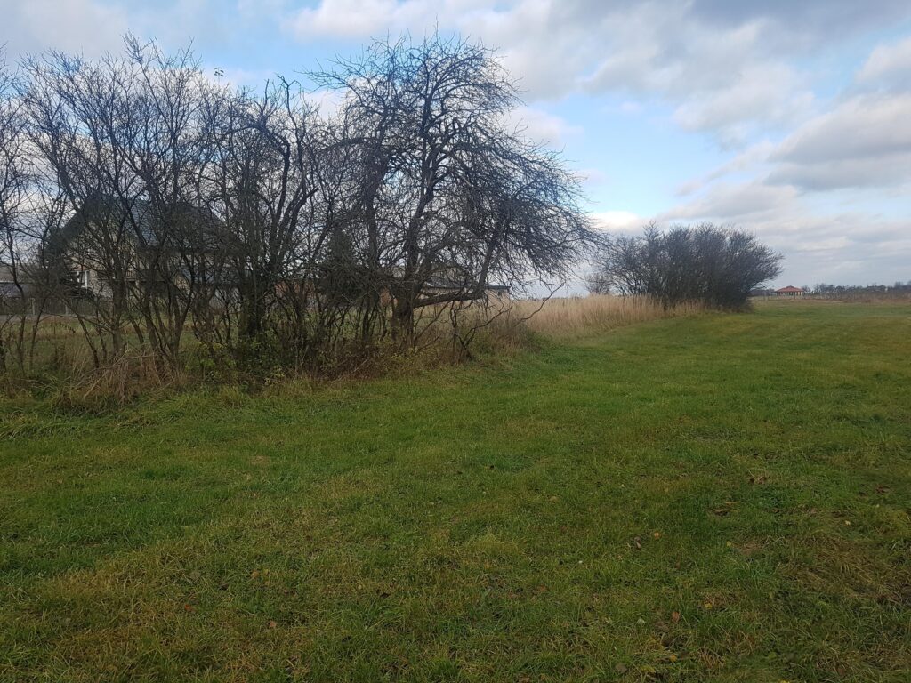 Działka we wsi Zawady gm. Rzeczyca- 0,3010 HA. - zdjęcie 1