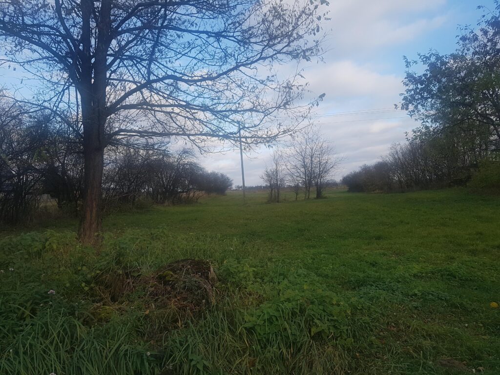 Działka we wsi Zawady gm. Rzeczyca- 0,3010 HA. - zdjęcie 7