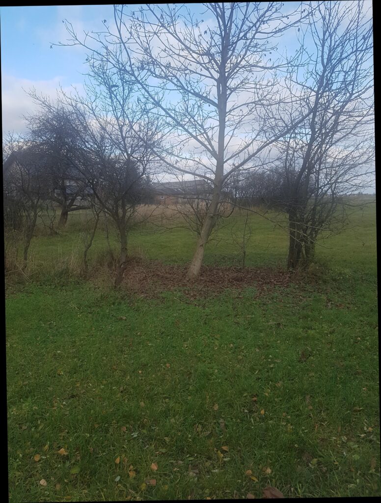 Działka we wsi Zawady gm. Rzeczyca- 0,3010 HA. - zdjęcie 5