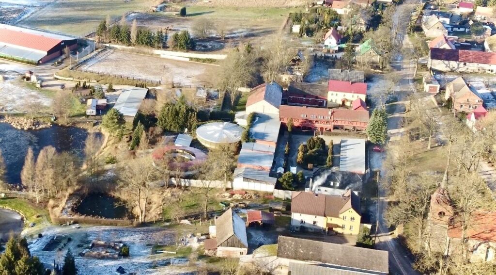 Stadnina- Ośrodek treningu młodych koni sportowych - zdjęcie 11