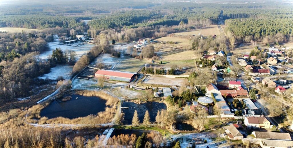 Stadnina- Ośrodek treningu młodych koni sportowych - zdjęcie 12