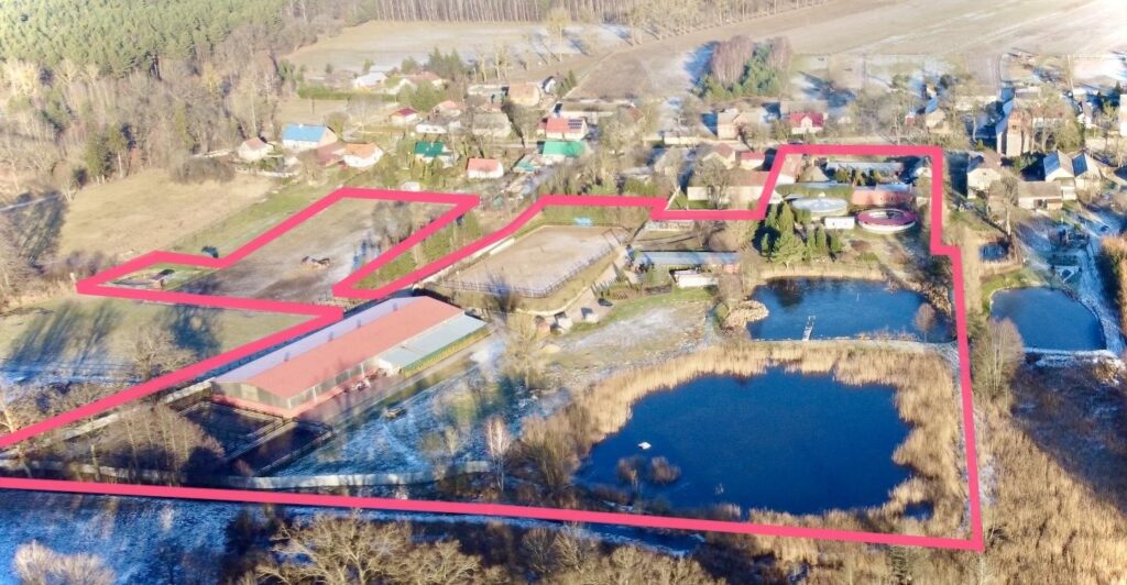 Stadnina- Ośrodek treningu młodych koni sportowych - zdjęcie 13