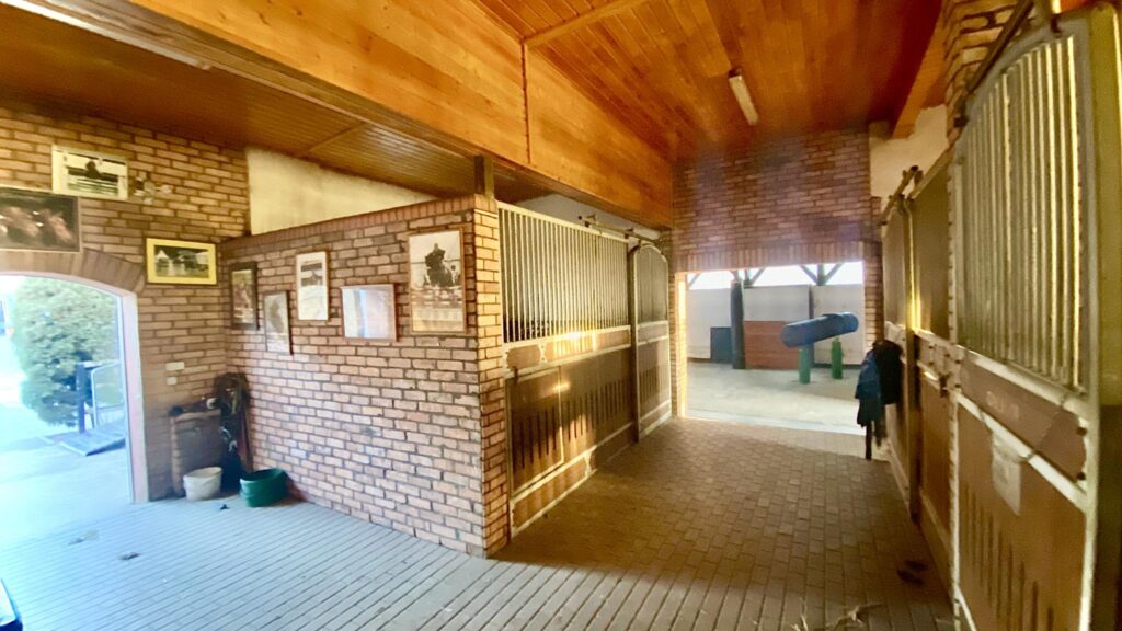 Stadnina- Ośrodek treningu młodych koni sportowych - zdjęcie 16