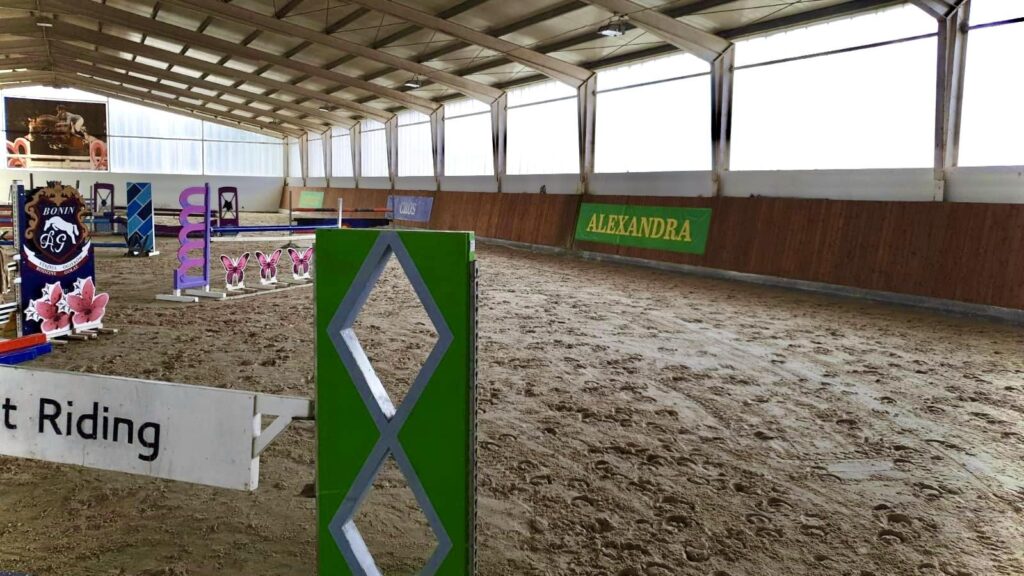 Stadnina- Ośrodek treningu młodych koni sportowych - zdjęcie 19