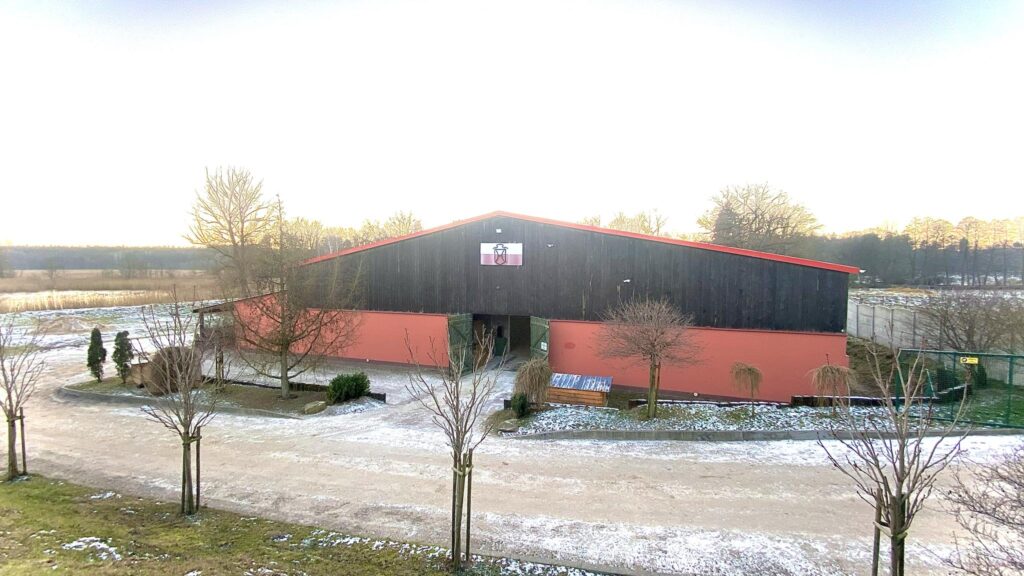 Stadnina- Ośrodek treningu młodych koni sportowych - zdjęcie 22