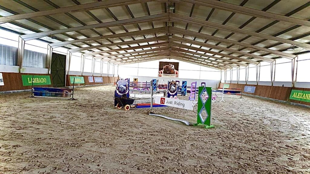 Stadnina- Ośrodek treningu młodych koni sportowych - zdjęcie 25