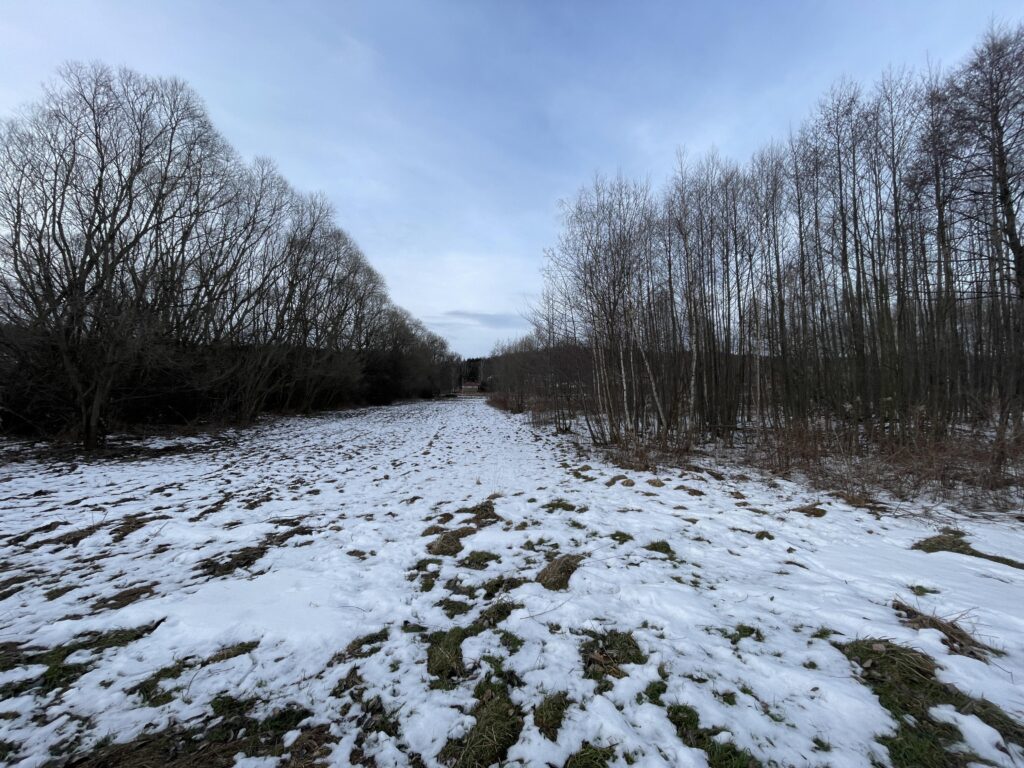 Działka usługowa blisko krajowej drogi Nr 3 - zdjęcie 3