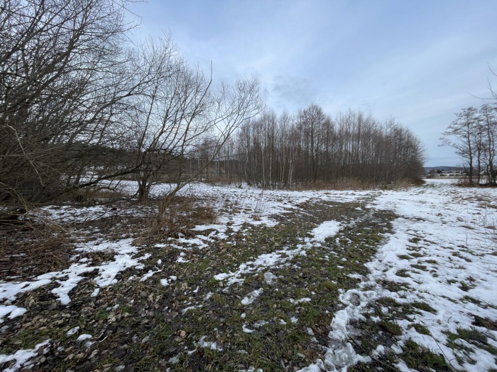 Działka usługowa blisko krajowej drogi Nr 3 - zdjęcie 5