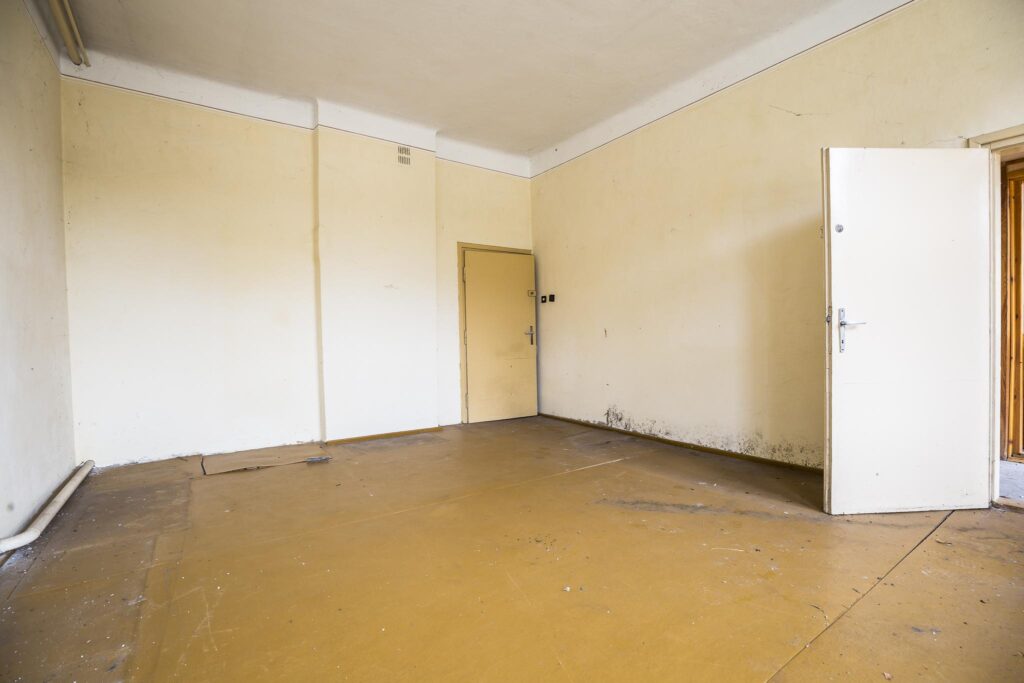 Budynek komercyjny Kamionka Górna, pow. niżański - zdjęcie 23