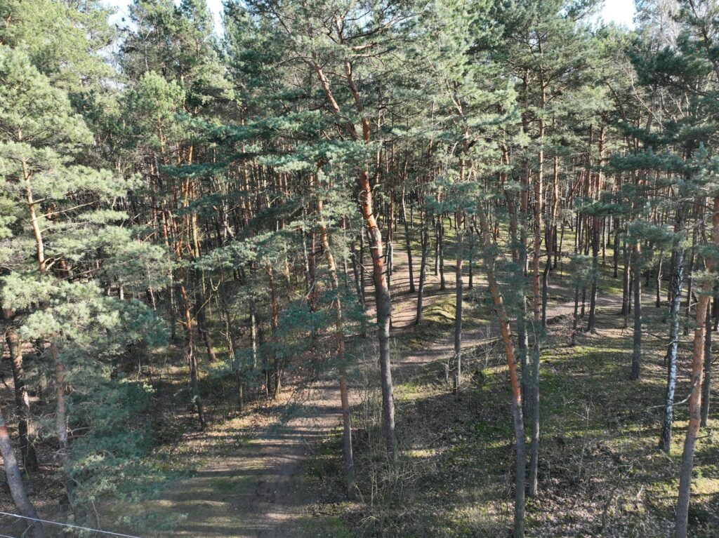 Działka 7 min od Żyrardowa, 30 min do Warszawy - zdjęcie 7