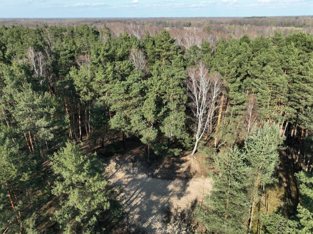 Działka 7 min od Żyrardowa, 30 min do Warszawy - zdjęcie 5