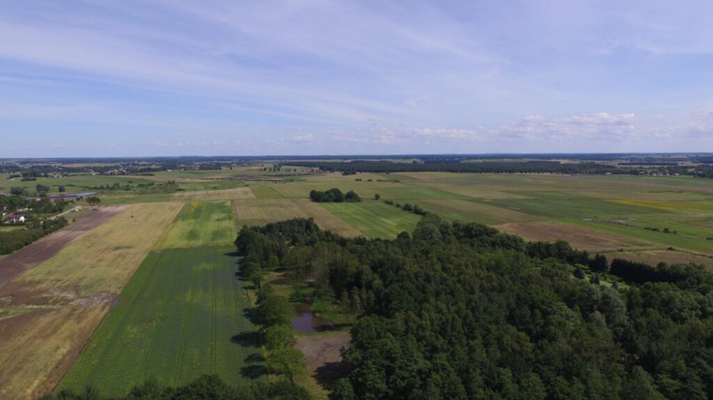 Stary Borek - działka budowlana na sprzedaż - zdjęcie 1
