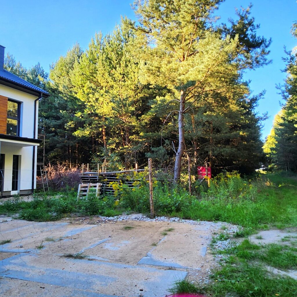 Działka 1000 m2 w otulinie drzew - zdjęcie 2