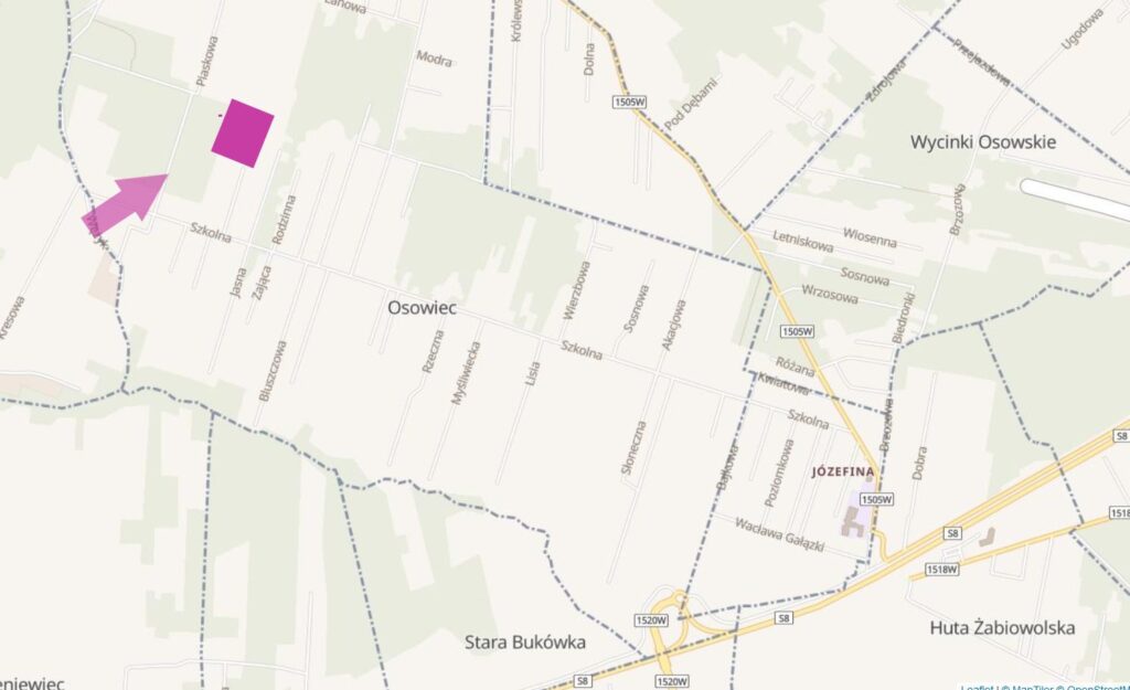 Działka 1000 m2 w otulinie drzew - zdjęcie 3