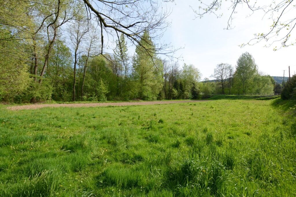 Sprzedane - zdjęcie 2