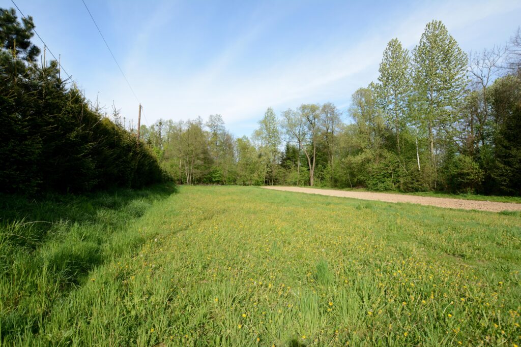 Sprzedane - zdjęcie 1