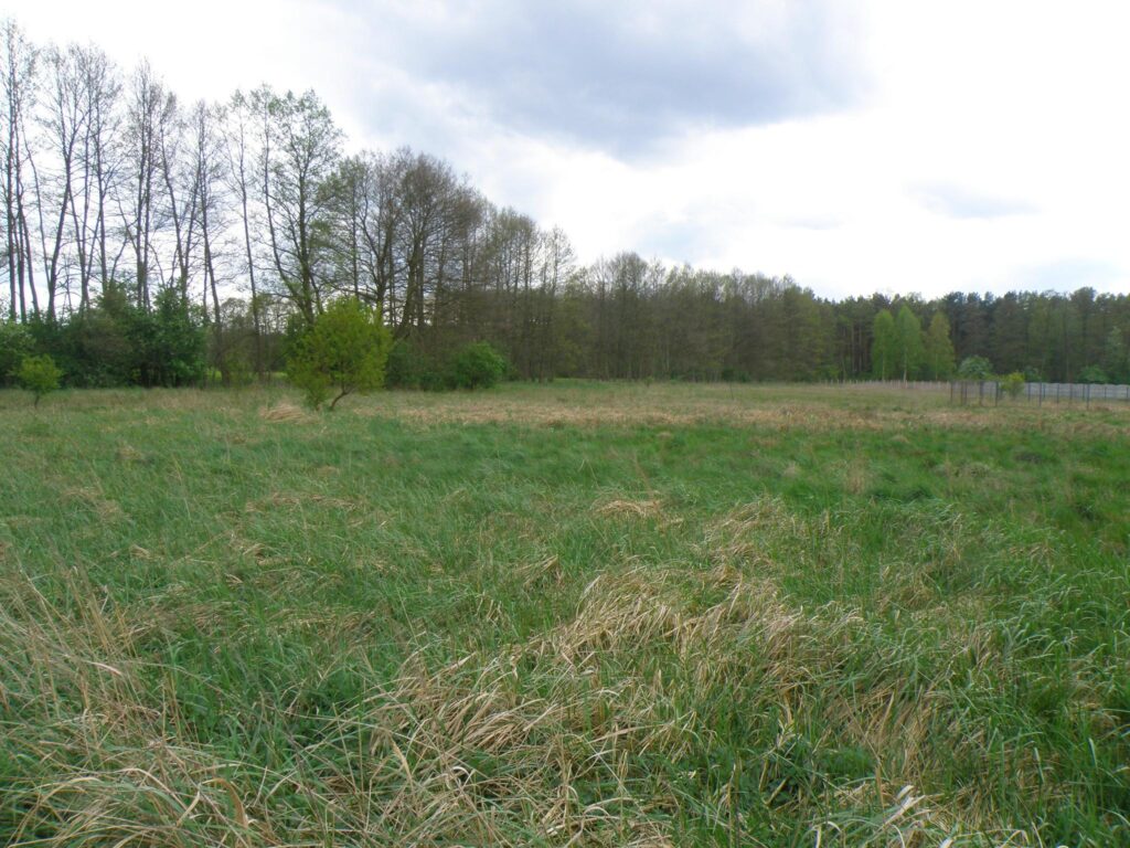 Działka z WZ 2486m2 blisko lasu w Kopaninie - zdjęcie 1