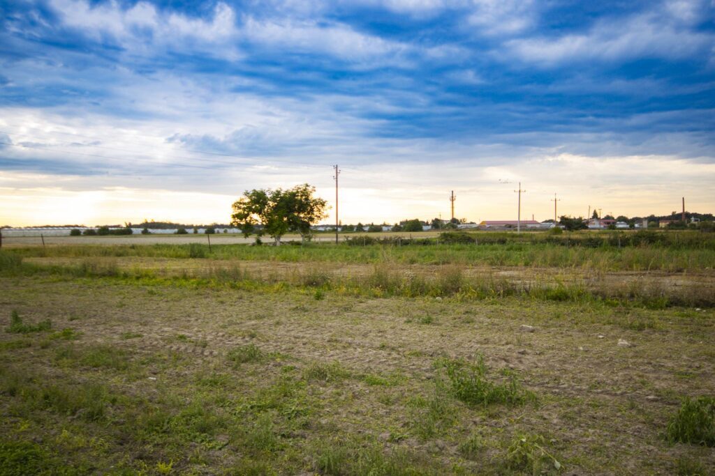 Duża działka z domem -wiele możliwości użytkowania - zdjęcie 7