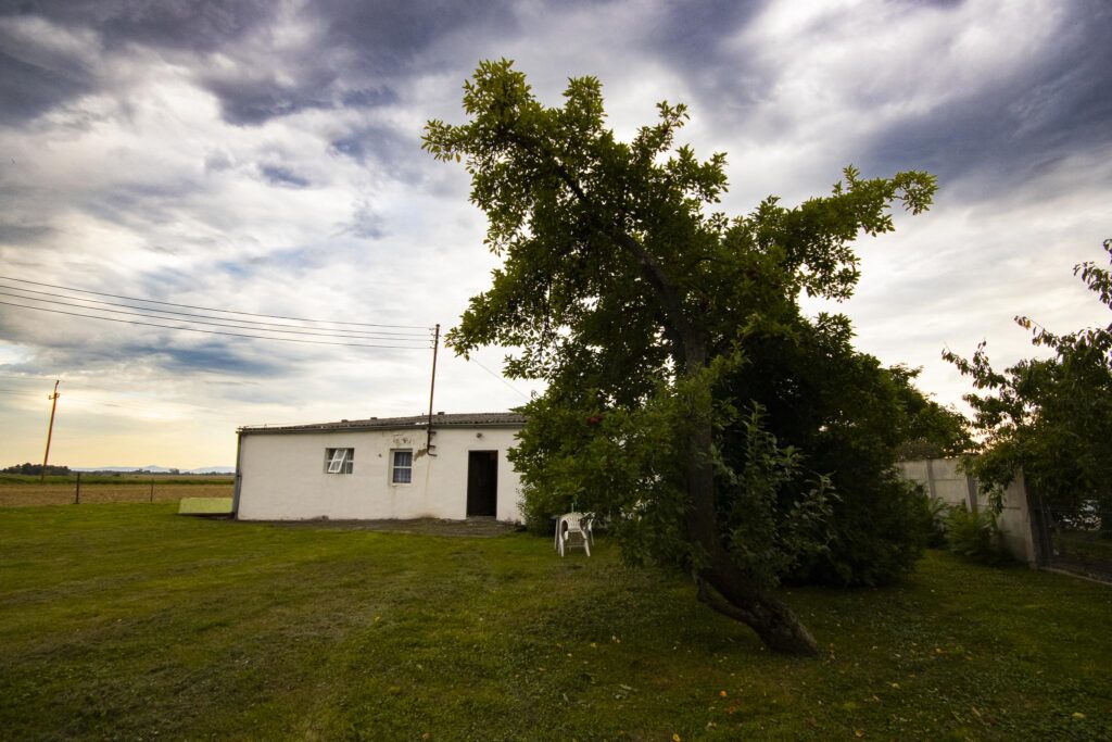 Duża działka z domem -wiele możliwości użytkowania - zdjęcie 3