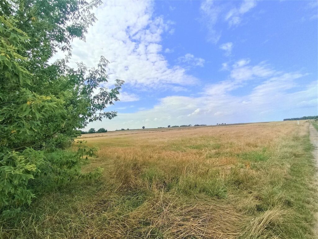 Działki pod budowę domu na sprzedaż - zdjęcie 1