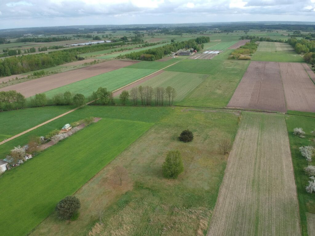 Działka budowlana 1500m2 Sukowska Wola gm. Przytyk - zdjęcie 12