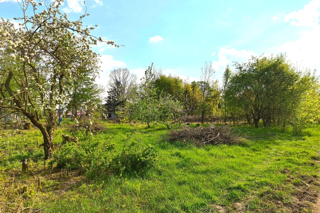 Działka na sprzedaż - zdjęcie 1