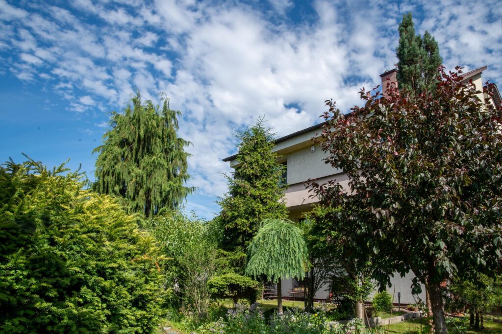Sprzedam/Wynajmę dom i hala Radom ul. Malenicka - zdjęcie 18