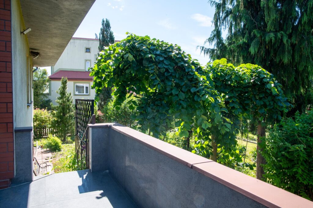 Sprzedam/Wynajmę dom i hala Radom ul. Malenicka - zdjęcie 8