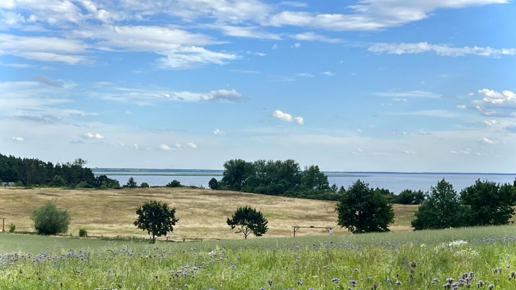 Działka Inwestycyjna 1,89 ha z Widokiem na Zalew. - zdjęcie 11