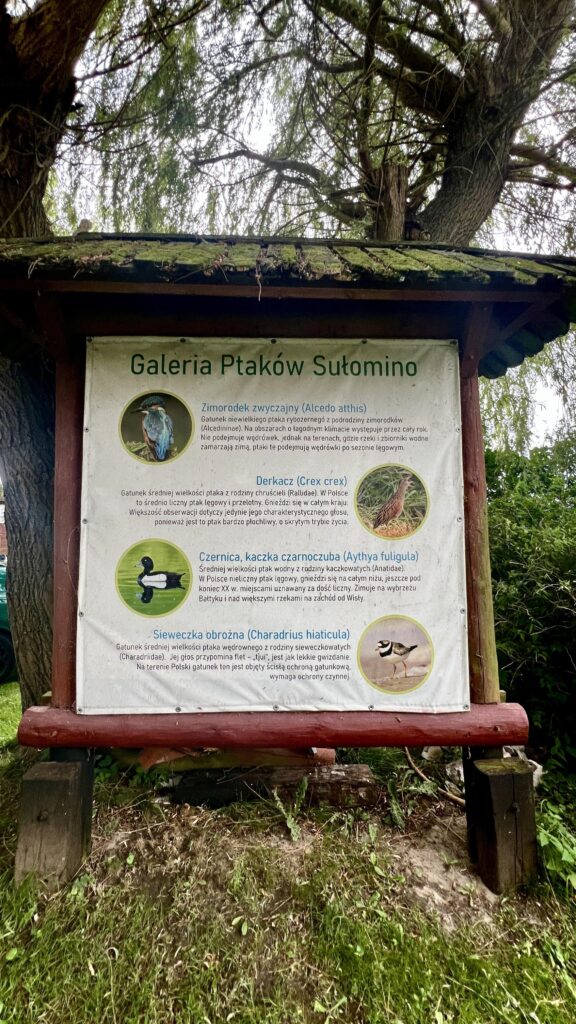 Działka Inwestycyjna 1,89 ha z Widokiem na Zalew. - zdjęcie 15