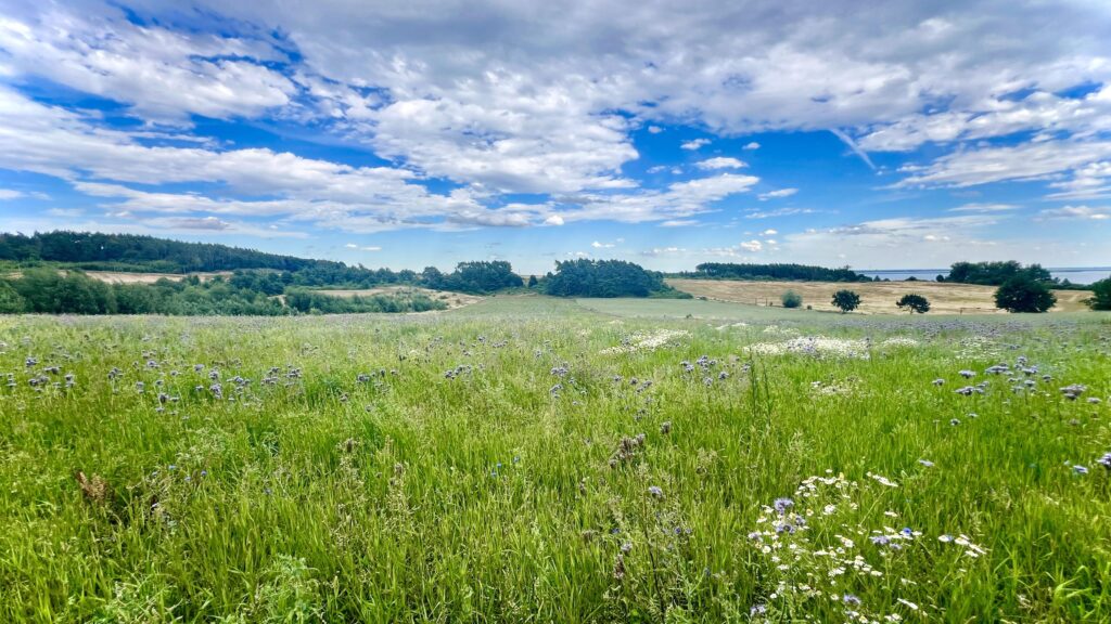 Działka Inwestycyjna 1,89 ha z Widokiem na Zalew. - zdjęcie 12