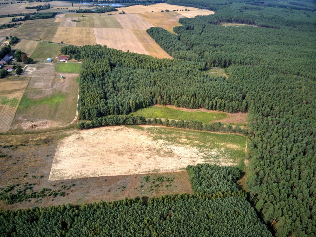 Działka 7,55 ha, Łomnica - zdjęcie 2