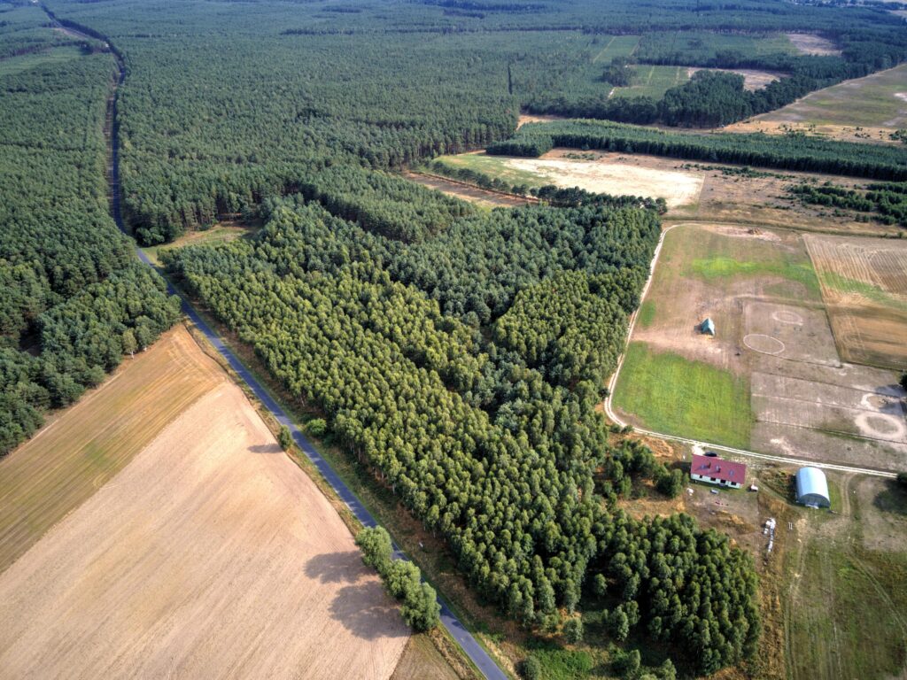 Działka 7,55 ha, Łomnica - zdjęcie 3