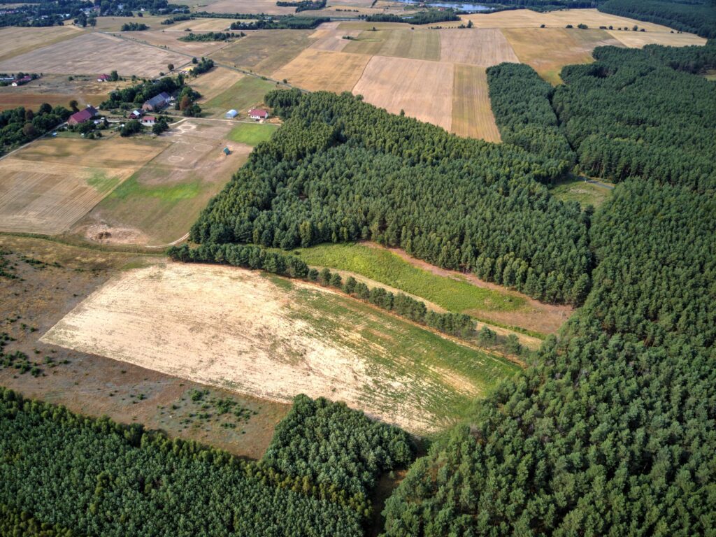 Działka 7,55 ha, Łomnica - zdjęcie 4