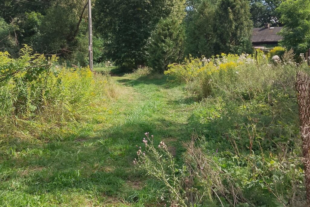 Nieruchomość z dala od miejskiego zgiełku - zdjęcie 8