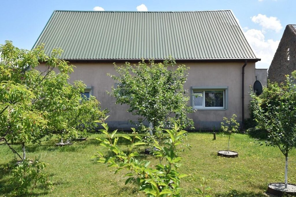 Warsztaty + 2 domy - zdjęcie 3