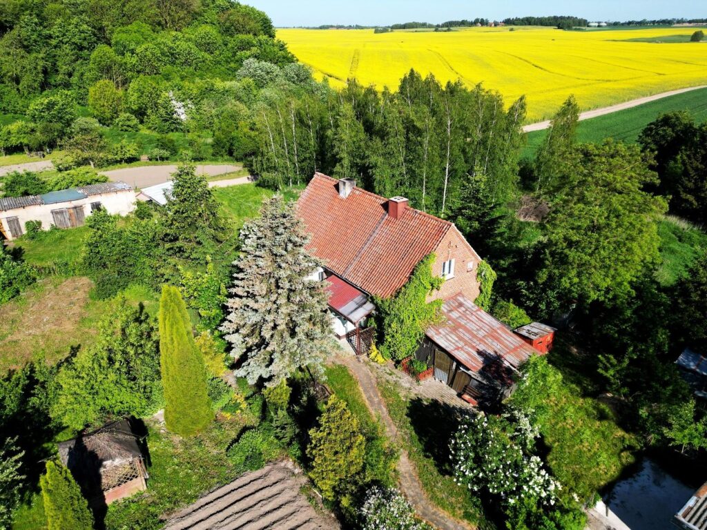 Dom w zabudowie bliźniaczej - zdjęcie 2