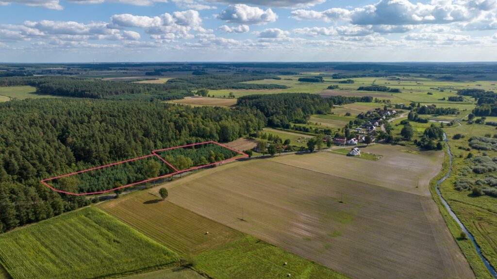Działka siedliskowa pod lasem - zdjęcie 2
